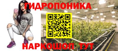 стаф Гусиноозёрск