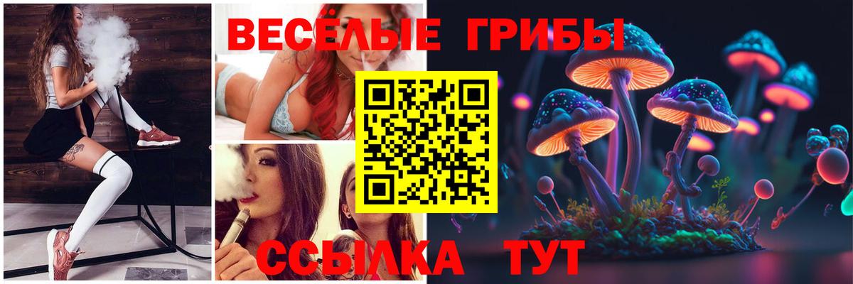 Орск  купить наркотики сайты  Вход с VPN  Псилоцибиновые грибы мухоморы 